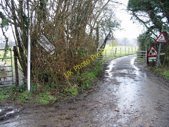 Photo 6"x4" A gated public road Bladbean c2007