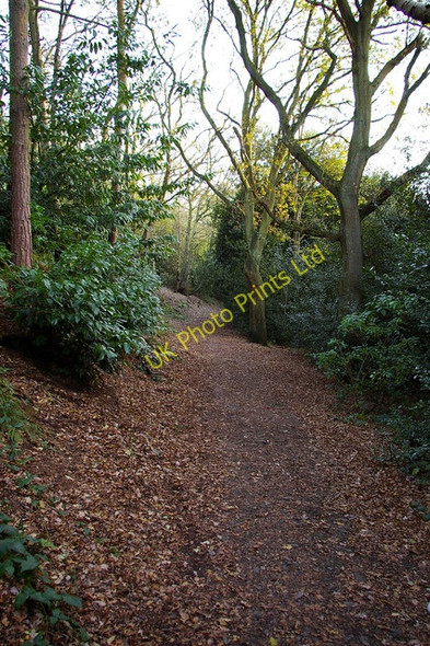 Photo 6"x4" Bridleway below south western slope of Rednal Hill Eachway c2006