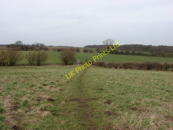 Photo 6"x4" Footpath across pasture fields Forest Hill\/SP5807 c2007