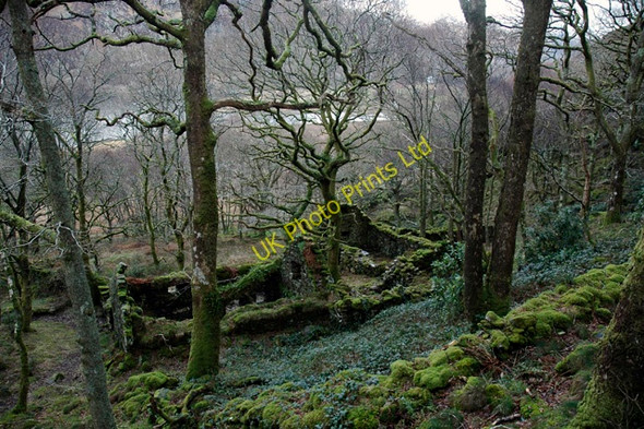Photo 6"x4" Ruin above Llyn Dinas Bethania\/SH6250 c2007