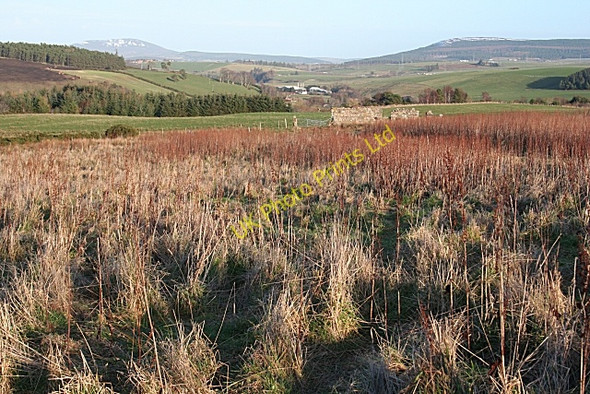 Photo 6"x4" Upper Broadfield Towiemore c2007