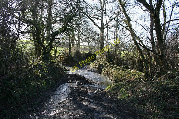 Photo 6"x4" Bondleigh: a Taw stream Ashridge Court c2007