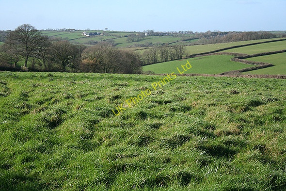 Photo 6"x4" North Tawton: towards Northweek Ashridge Court c2007