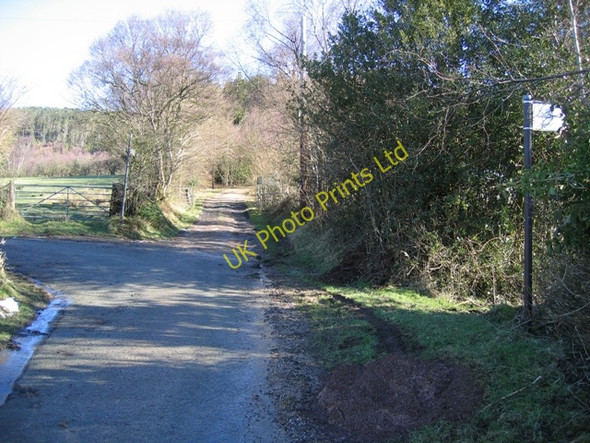 Photo 6"x4" Track and Path Junction near Bwlchgwyn Bwlchgwyn\/SJ2653 c2007