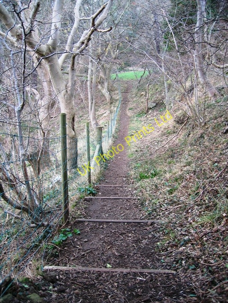 Photo 6"x4" Footpath from  Rofft Gate Llandudno c2007