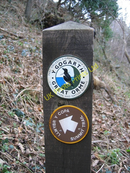 Photo 6"x4" The Summit Trail Sign on the Great Orme Llandudno c2007