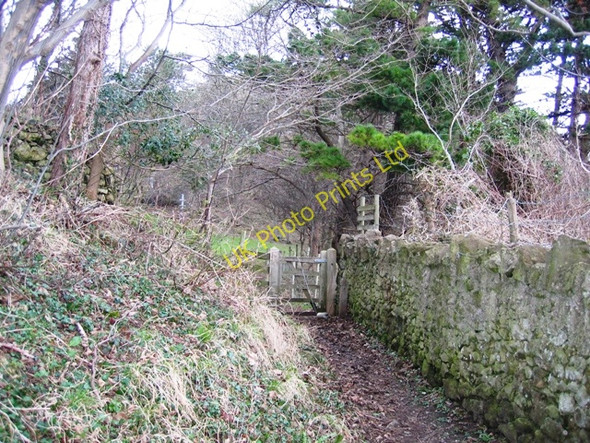 Photo 6"x4" Footpath in Haulfre Estate Llandudno c2007
