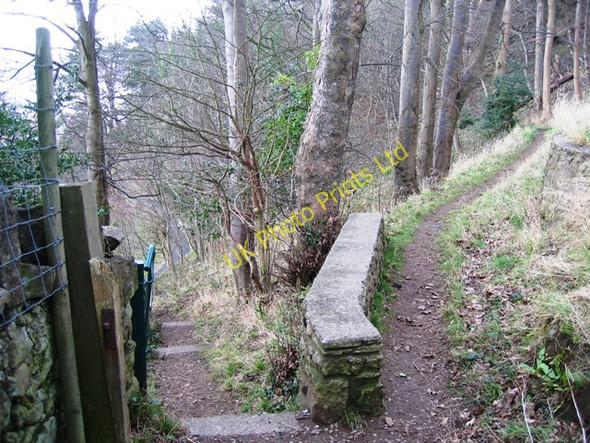 Photo 6"x4" Descending the Summit Trail Llandudno c2007