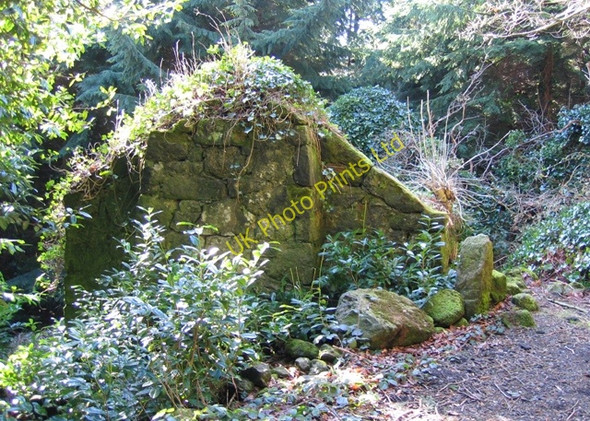 Photo 6"x4" Ruined Cottage in Nant y Ffrith Woodland Bwlchgwyn\/SJ2653 c2007
