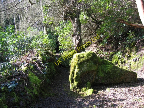 Photo 6"x4" Path in Nant y Ffrith Woodland Bwlchgwyn\/SJ2653 c2007