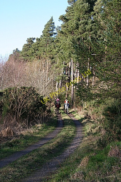 Photo 6"x4" Country Track Clackmarras c2007