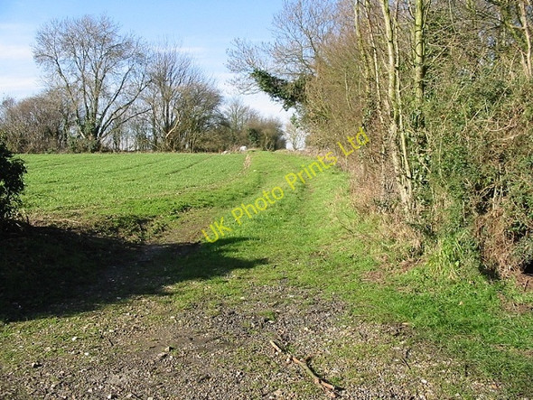 Photo 6"x4" Looking W from Hogg Lane Upper Hardres Court c2007
