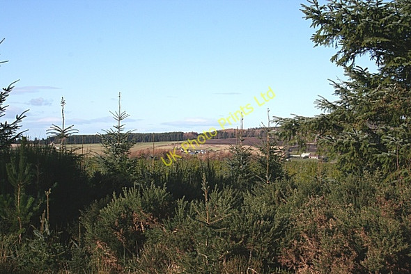 Photo 6"x4" Shiel Muir Berryhillock\/NJ5060 c2007