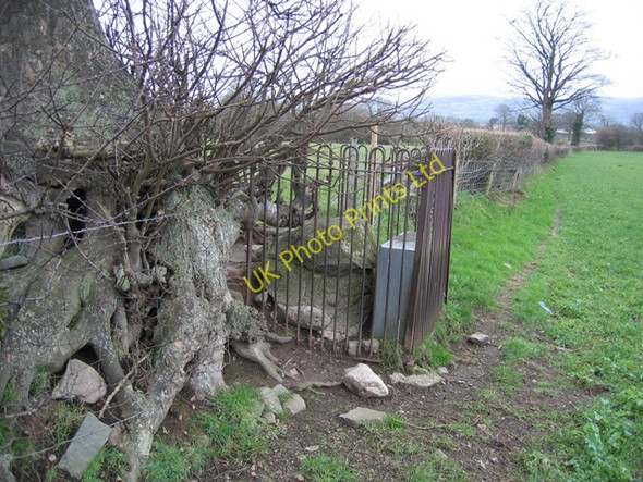 Photo 6"x4" Memorial Stone near Llangwyfan #1 Llangwyfan c2007