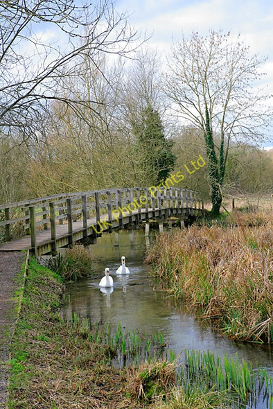 Photo 6"x4" Footbridge over River Test Longparish c2007