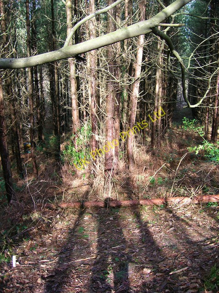Photo 6"x4" Spot the Bear, Brassetts Wood Pestalozzi International Village c2007