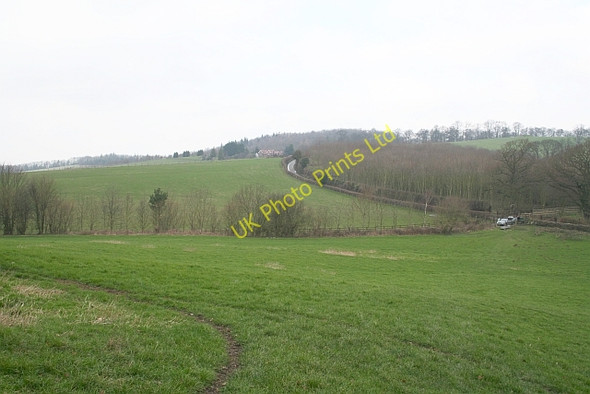 Photo 6"x4" New Plantation, Hope End Loxter c2007
