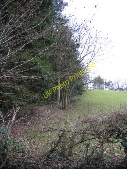 Photo 6"x4" Field and Forestry Boundary Sodom\/SJ0971 c2007