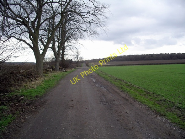 Photo 6"x4" Robin Hood Way Eakring c2007