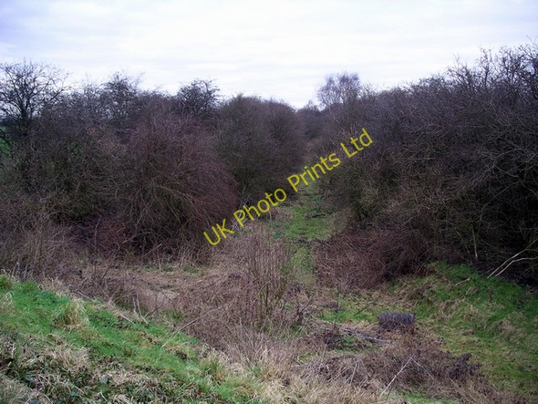 Photo 6"x4" Course of dismantled railway Eakring c2007