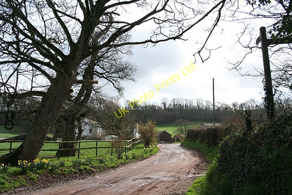 Photo 6"x4" Clannaborough: the Two Moors Way Bow\/SS7201 c2007