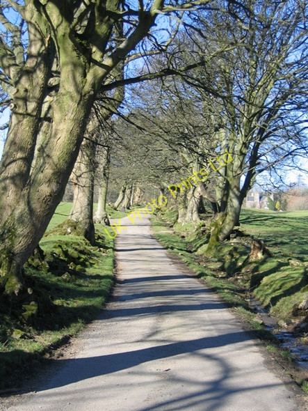 Photo 6"x4" Lane to Bodidris Hall Hotel Gwernol c2007
