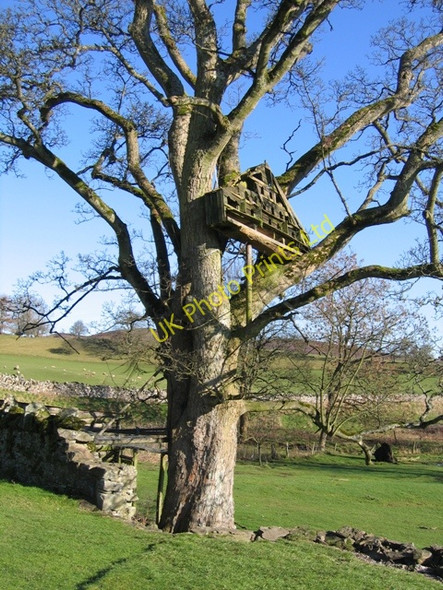 Photo 6"x4" Dovecote at Bodidris Hall Hotel? Gwernol c2007
