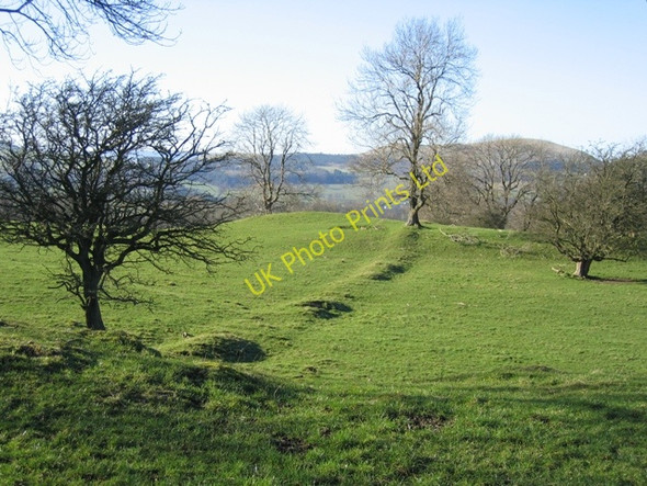 Photo 6"x4" Ruined Wall Gwernol c2007