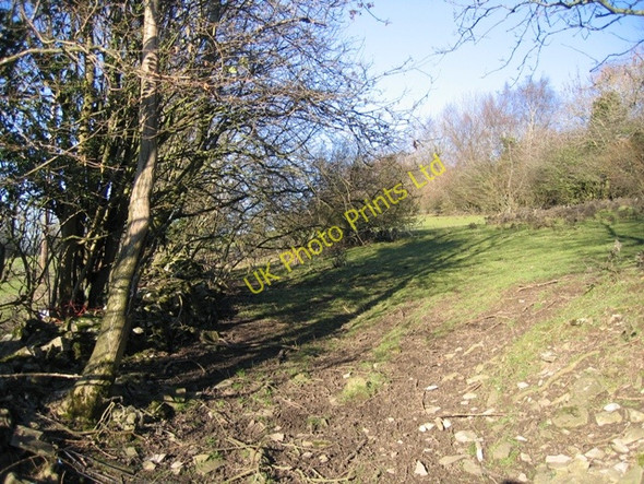 Photo 6"x4" Footpath and Hedge Bryn-yr-ogof c2007