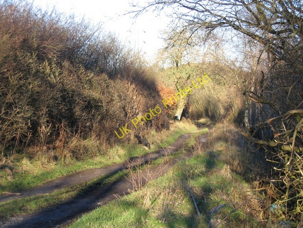 Photo 6"x4" Bridleway to Graianrhyd #2 Graianrhyd c2007