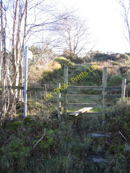 Photo 6"x4" Stile and Footpath to Llyn Cyfynwy Graianrhyd c2007