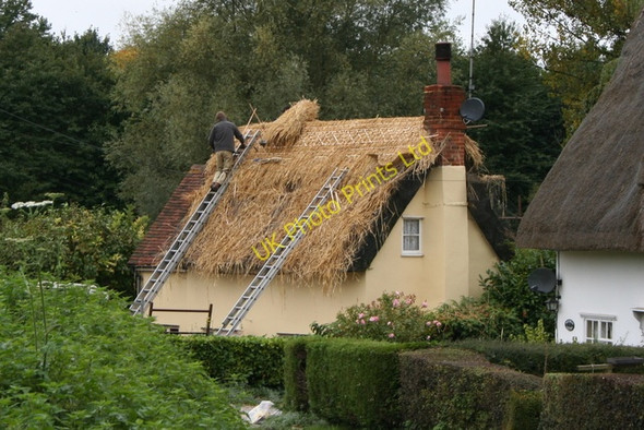Photo 6"x4" Thatching at Walthams Cross Waltham's Cross c2005