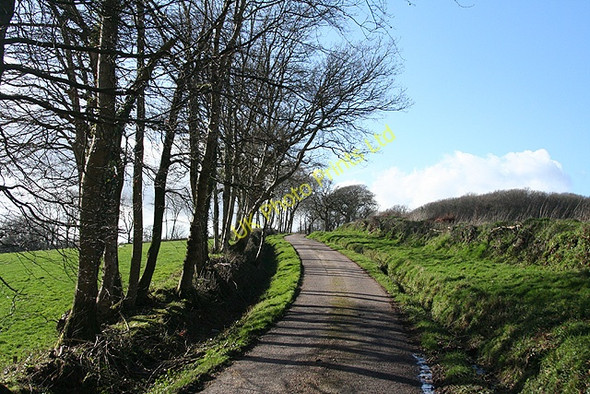 Photo 6"x4" Southleigh: lane to Blackberry Castle Southleigh c2007