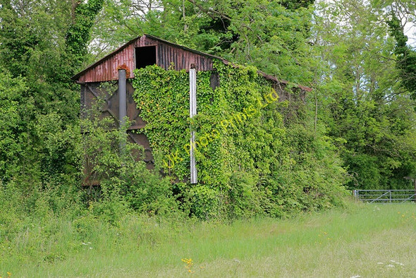 Photo 6"x4" Water tank near Little Golders, Chilcomb Chilcomb c2007