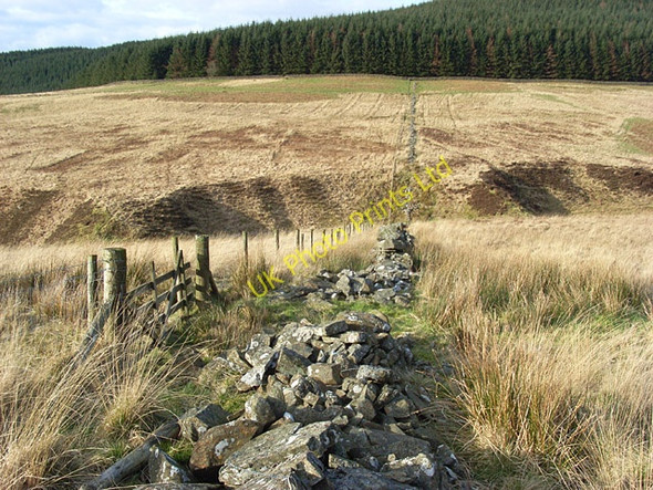 Photo 6"x4" Between Breckonside Hill and Pinnacle Hill Dumcrieff c2007