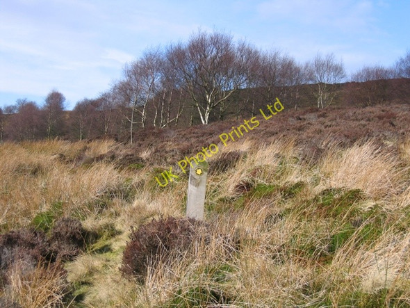 Photo 6"x4" Footpath Sign on the Moors near Ffynnon Thomas Gwernol c2007