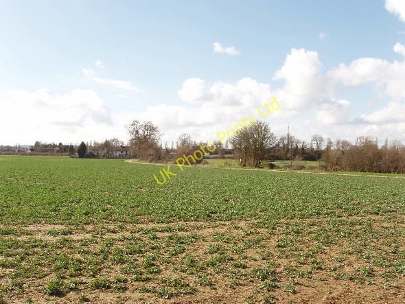 Photo 6"x4" Brassica field, view to Gosford Kidlington c2007