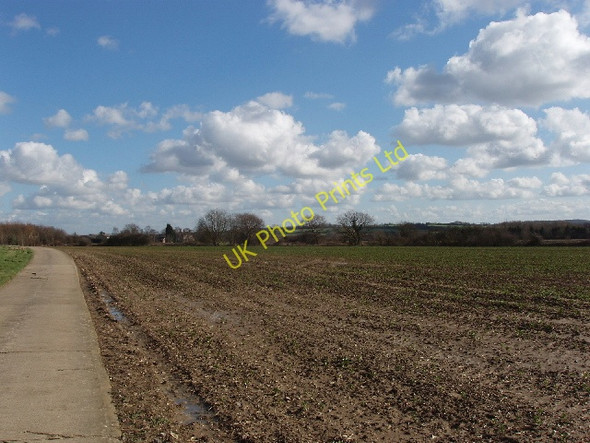 Photo 6"x4" Brassica field, view to Northfield Farm Kidlington c2007