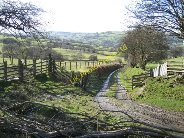Photo 6"x4" Track to Bryneglwys Bryneglwys\/SJ1447 c2007