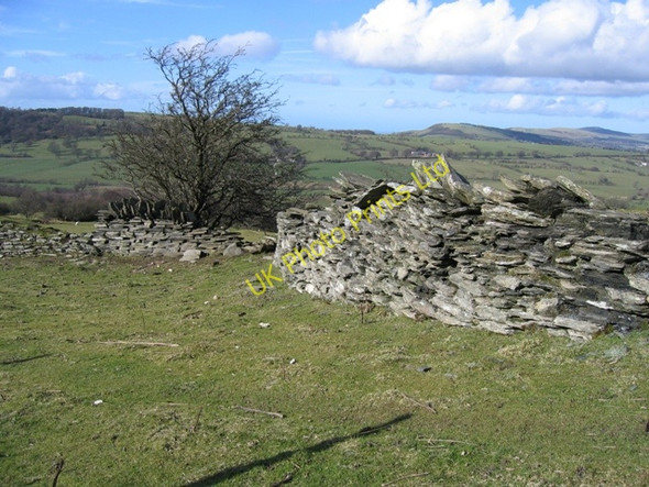Photo 6"x4" Stone Walls below Moel y Faen Pentredwr c2007