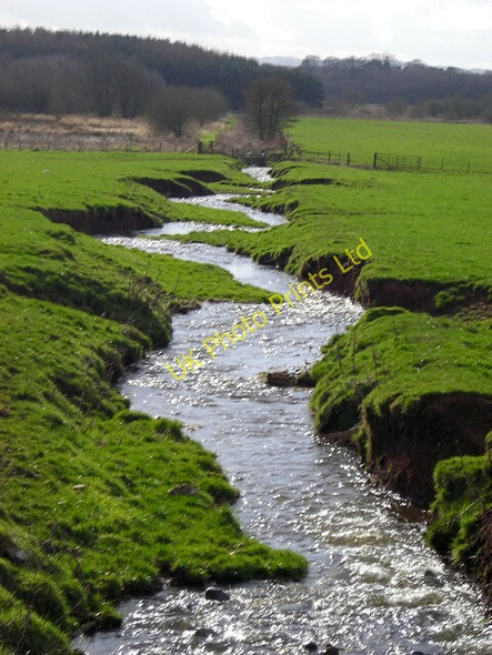 Photo 6"x4" Side Burn Heathhall\/NX9979 c2007