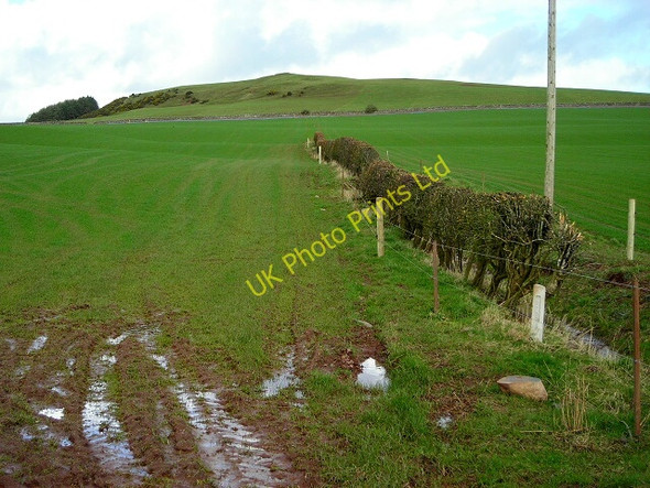 Photo 6"x4" Whiteside Hill Torthorwald c2007