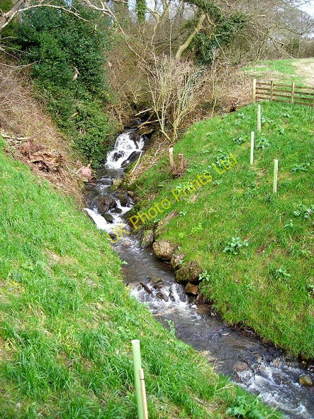 Photo 6"x4" Pierbanks Burn Torthorwald c2007