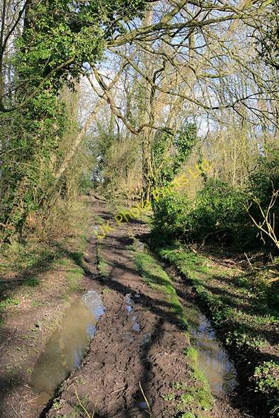 Photo 6"x4" Footpath from East Stratton to Brown Candover East Stratton c2007