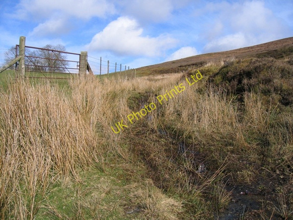 Photo 6"x4" Bridleway from Plas Norway Bryneglwys\/SJ1447 c2007