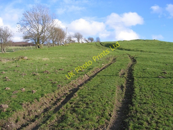 Photo 6"x4" Track Junction at Pen-y-bryn Farm Bryneglwys\/SJ1447 c2007