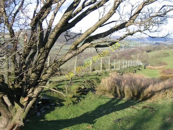 Photo 6"x4" Afternoon Shadows and a Fence Bryneglwys\/SJ1447 c2007