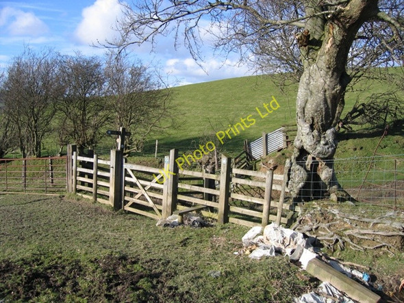 Photo 6"x4" New Stile and Gate on the Clwydian Way Bryneglwys\/SJ1447 c2007