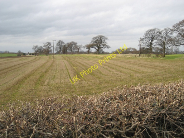Photo 6"x4" View towards Killerby Farm East Appleton c2007