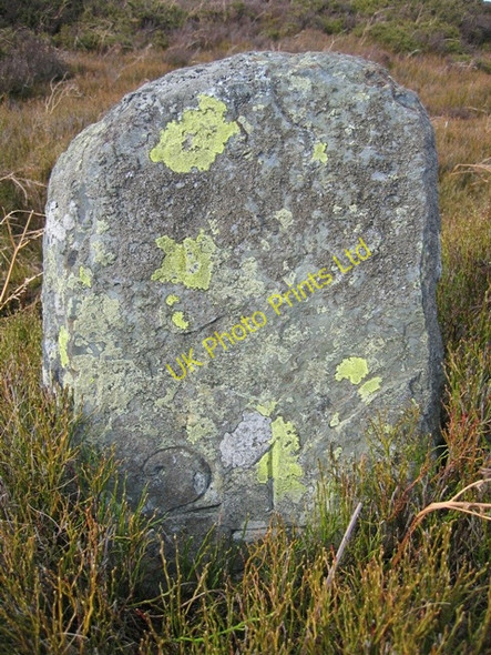 Photo 6"x4" Inscribed Stone by Lake on Llantysilio Mountain Glyndyfrdwy c2007